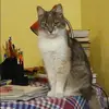 Отзыв от Александра Муравьева
